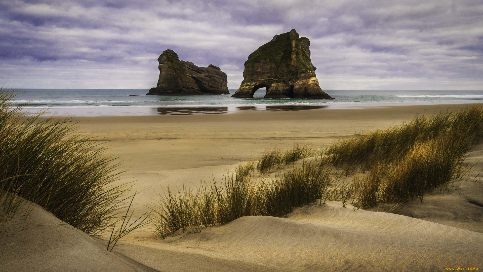 wharariki beach, new zealand, , , wharariki, beach, new, zealand